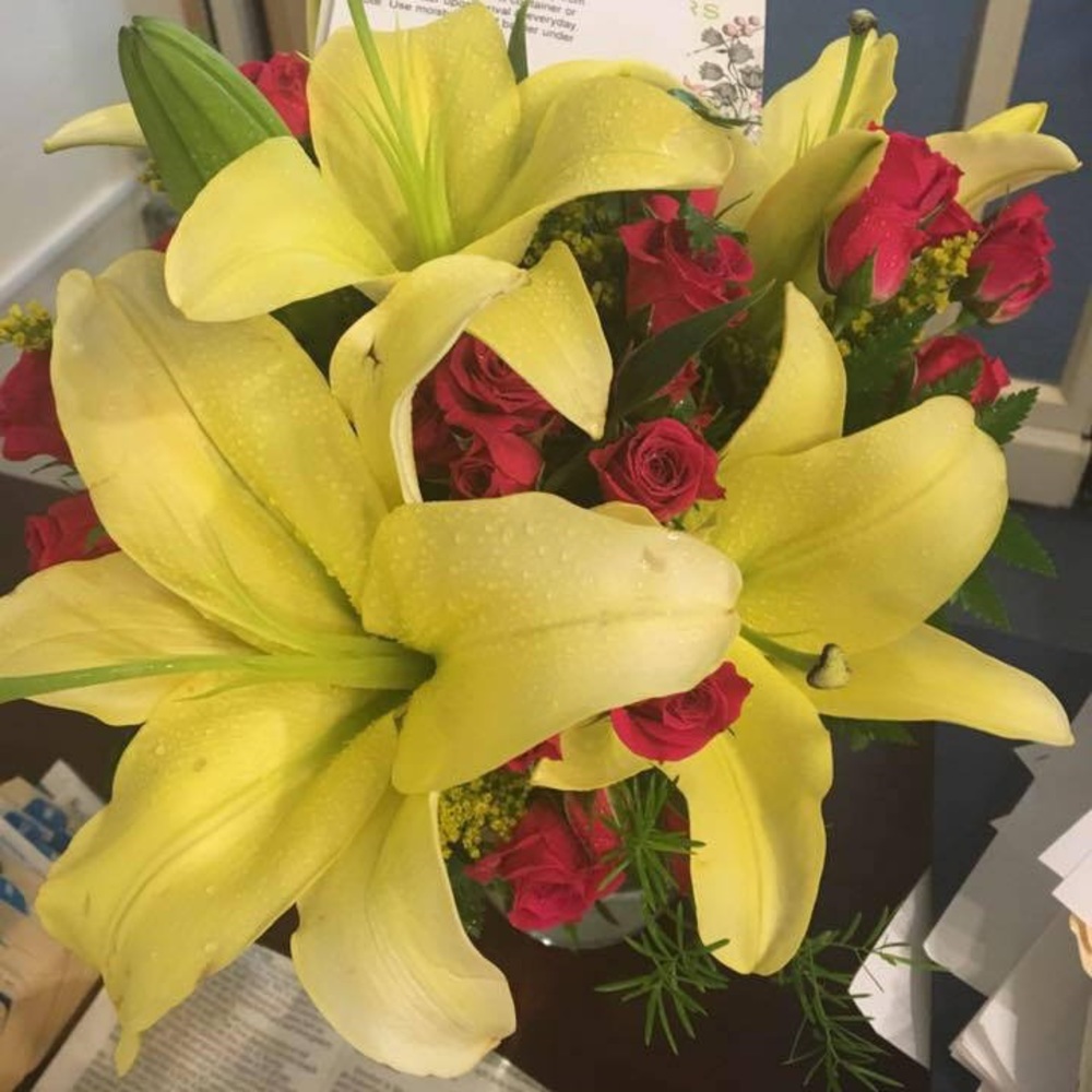 Meet your Posher. Still shopping